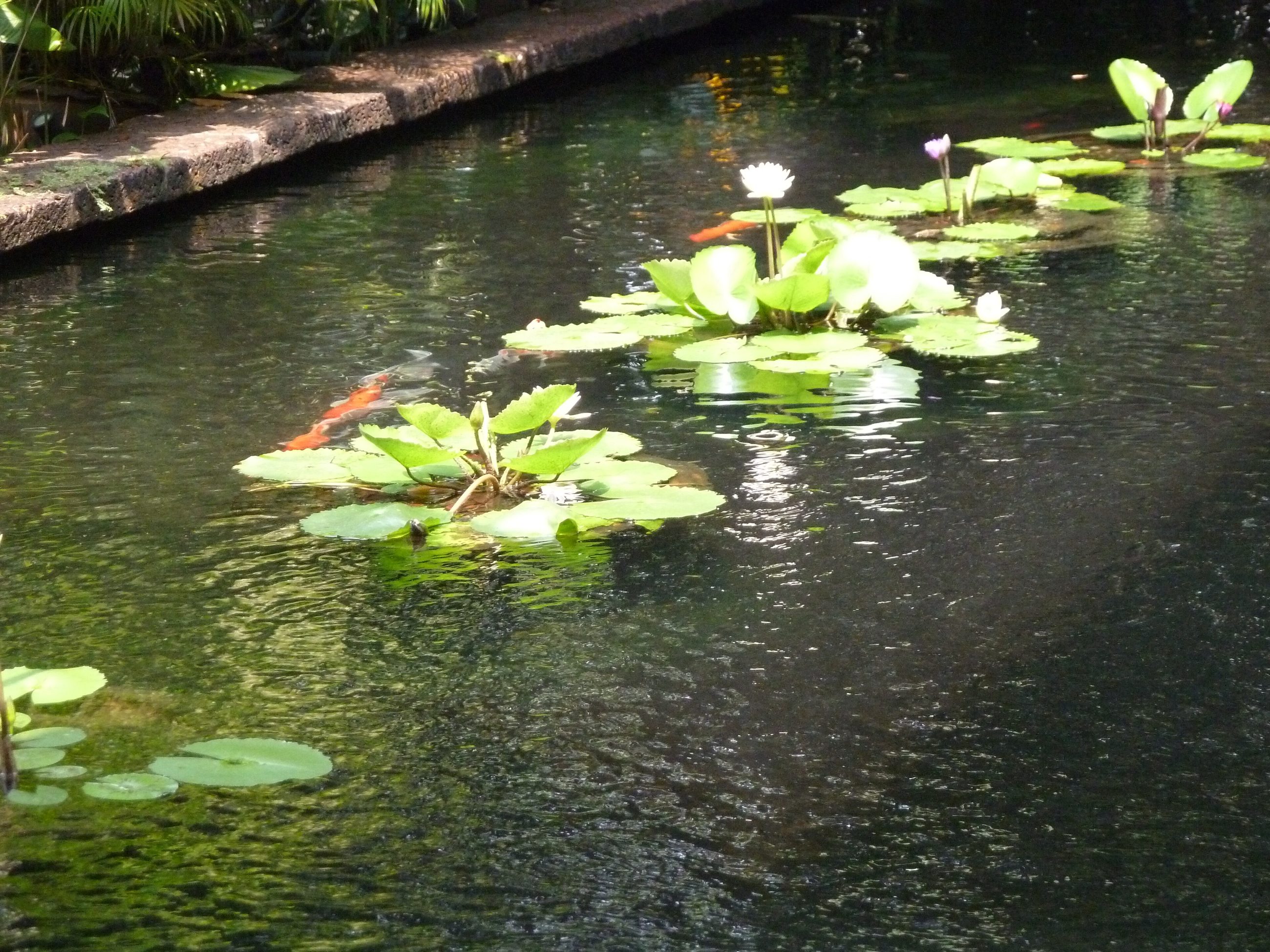 金汤普森故居